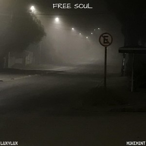 Free Soul