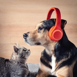 Pet Music: Harmonious Sounds for Calm