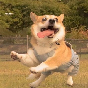 离谱的一天 (伴奏)