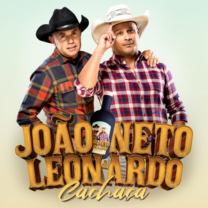 Quando voltar o passarinho