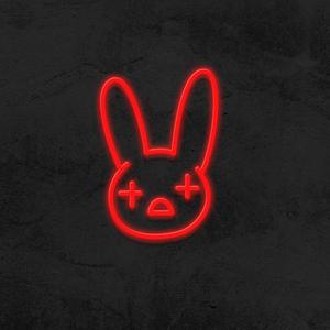 Bunny Riddim (Remix)