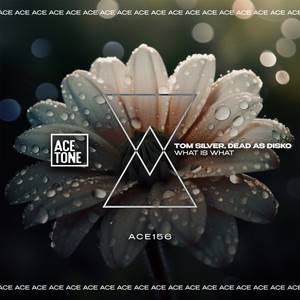 What Is What (Original Mix)