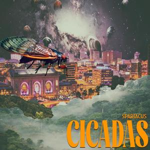 Cicadas