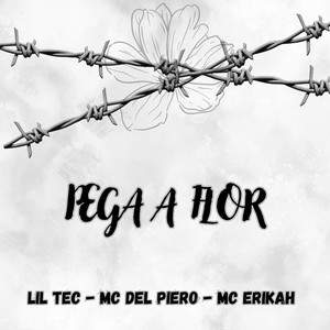 Pega a Flor (Explicit)