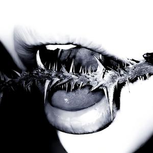 THAT IS MY BANDO (prodd. by wndr) (Explicit)