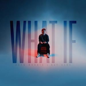 What If (Ray Aley Remix)
