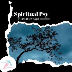Spiritual Psy - Electronica Music
