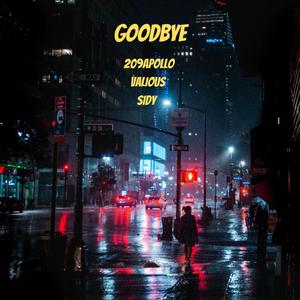 Goodbye (feat. SiDy & Valious)