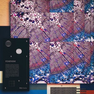 페미니즘 (Feminism : Violent Legacy) (女权主义)