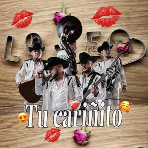 Tu cariñito