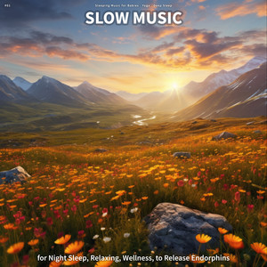 New Age Sounds for Joy