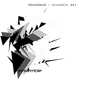 Ensemble 2.1 (Original Mix)