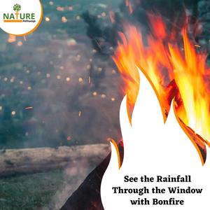 See the Rainfall Through the Window with Bonfire