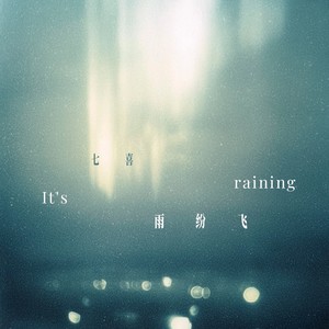雨纷飞 (分飞DJ版)封面