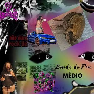 Bonde do pau médio (Explicit)