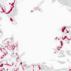 Brief (Slowed and reverb) (Explicit)