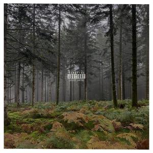 Try again (Explicit)