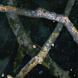 Явь(feat. Saåad)