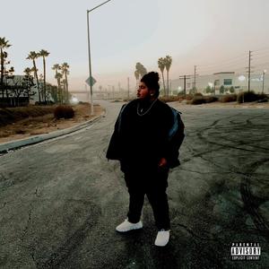 Intoxicated (feat. Shanto KNR) (Explicit)