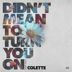 Didn't Mean To Turn You On (Torrfisk Remix)