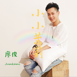 小小茉莉封面