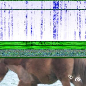 Traces