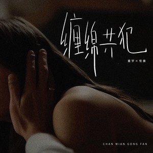 缠绵共犯封面