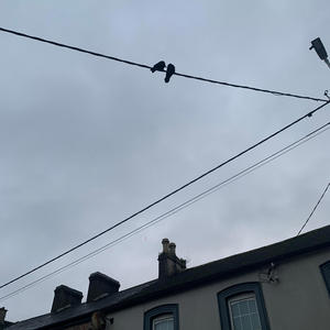 both hearts (Explicit)