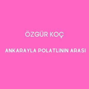 Ankarayla Polatlının Arası