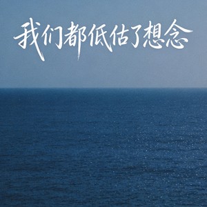 我们都低估了想念