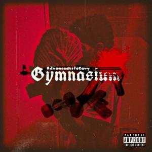 Gymnasium (Explicit)