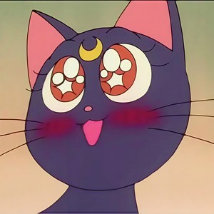 不 管 了 ！