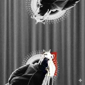 Trippopotamo (Explicit)