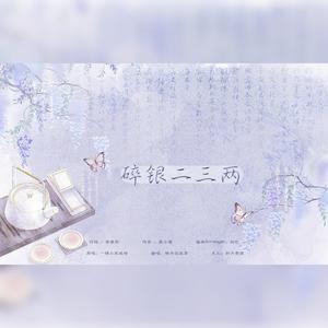 碎银二三两封面