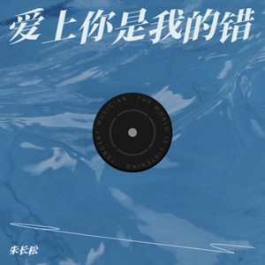 爱上你是我的错