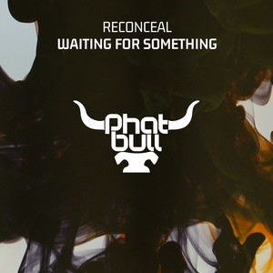 Waiting For Something (Original Mix)