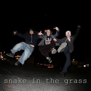 Snake In The Grass