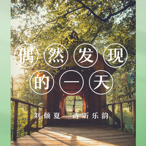 偶然发现的一天