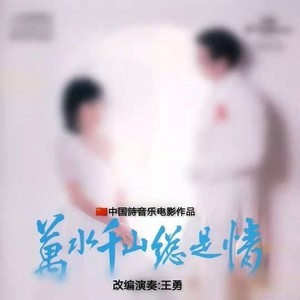 万水千山总是情—改编演奏:王勇