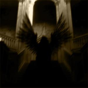 FALLEN ANGEL (feat. squirlbeats & salean) [Explicit]