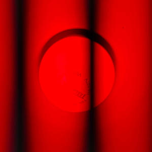 marcy..resort (Explicit)