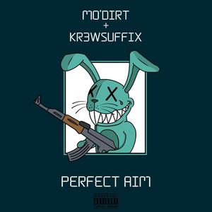 Perfect Aim (feat. Kr3wsuffix) (Explicit)
