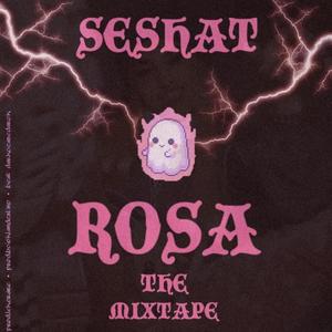 Rosa the Mixtape (Explicit)