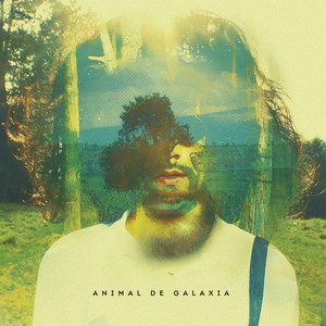 Animal de galaxia (Explicit)