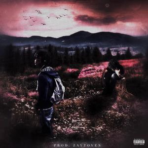 Do it the best (feat. z4yz!) (Explicit)