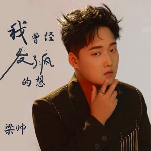 我曾经发了疯的想