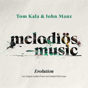 Evolution (Andrew Frenir Remix)