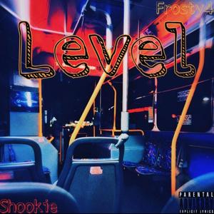 Level (feat. Shook) [Explicit]