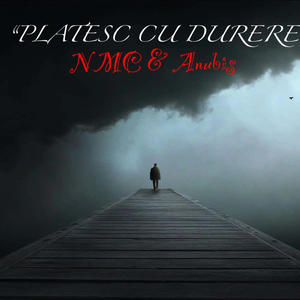 Platesc cu durere (feat. Anubis) [Explicit]