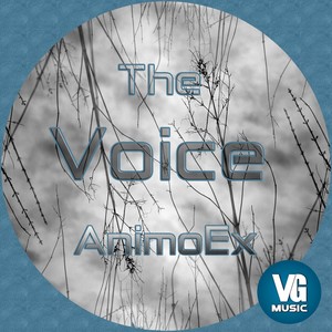 The Voice